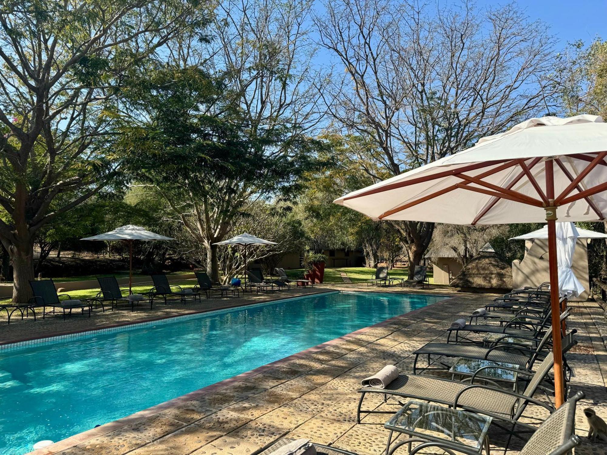Nyati Safari Lodge Hoedspruit Bagian luar foto