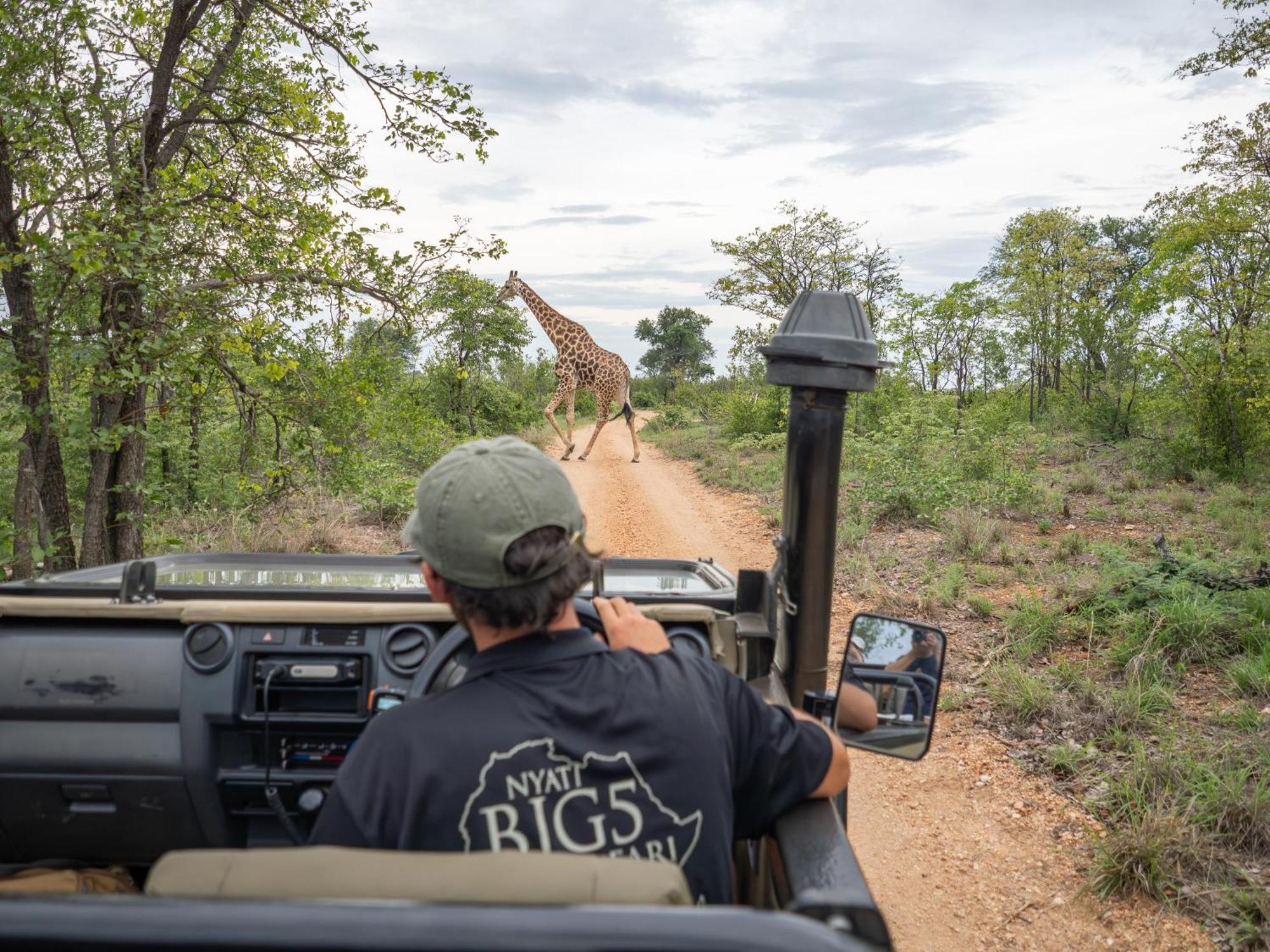 Nyati Safari Lodge Hoedspruit Bagian luar foto