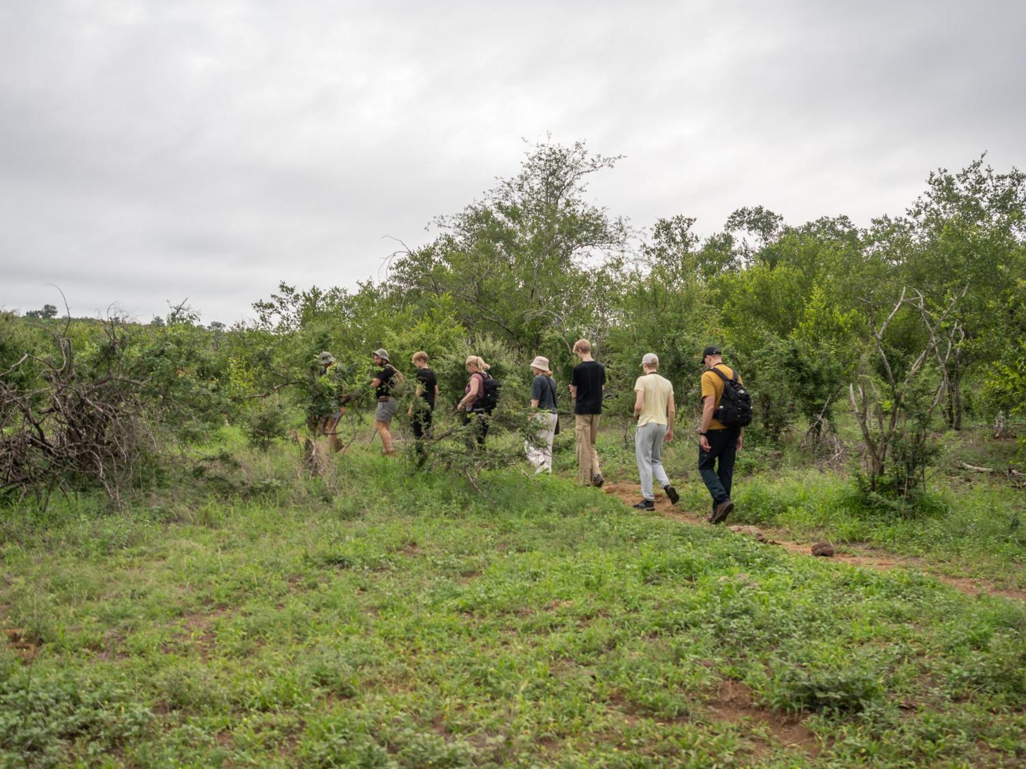 Nyati Safari Lodge Hoedspruit Bagian luar foto