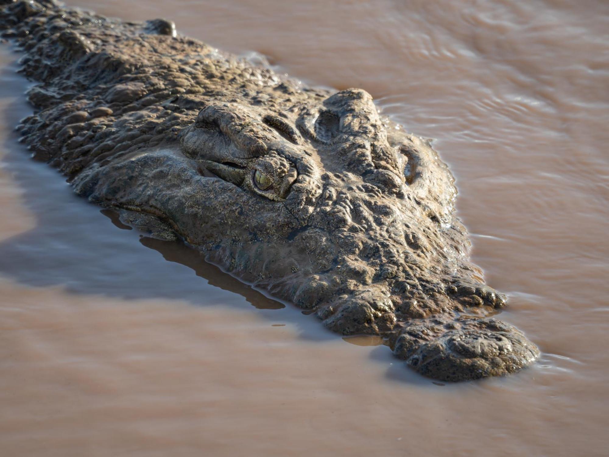 Nyati Safari Lodge Hoedspruit Bagian luar foto